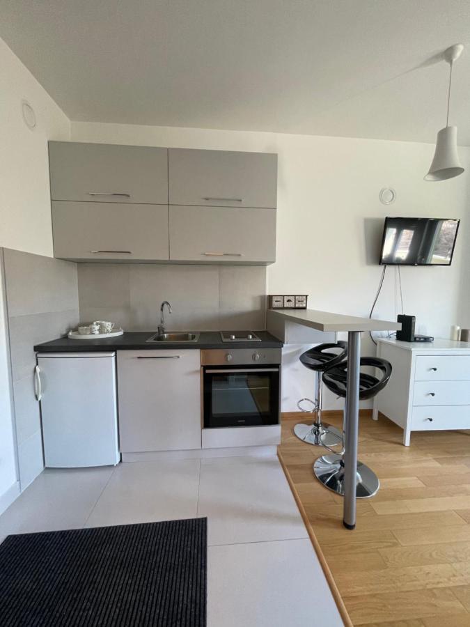 Sunny Studio Appartamento Novi Sad Esterno foto